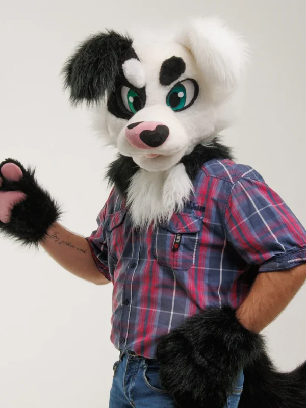 Black and white border collie dog fursuit head, hand paws and tail - Image 4